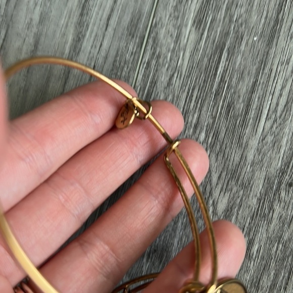 Alex and Ani Army Bangle Gold 2013 - Picture 6 of 7